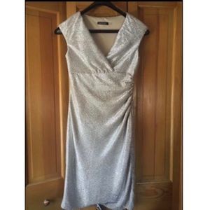 Fitted Silver Dress